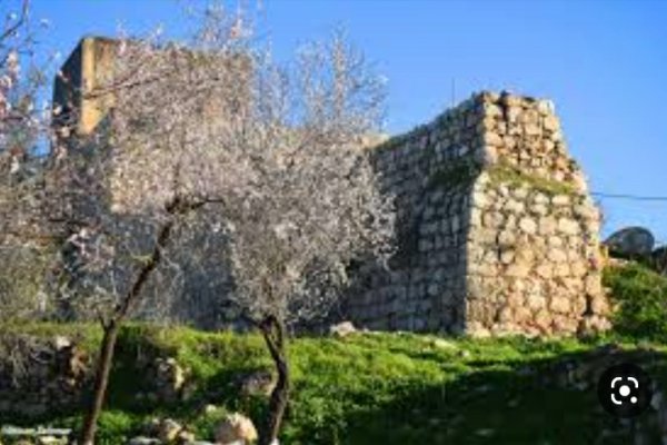 قرية عمورية/ قضاء نابلس