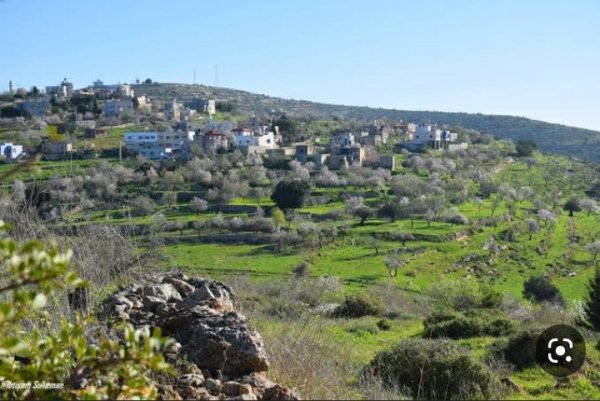 قرية عمورية/ قضاء نابلس