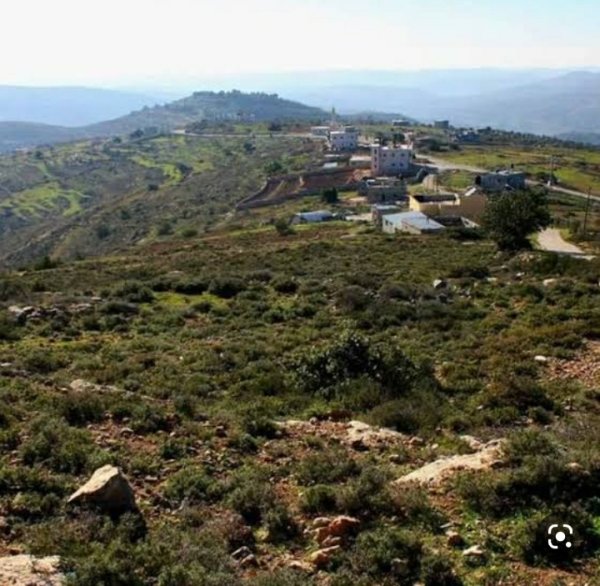 قرية عمورية/ قضاء نابلس