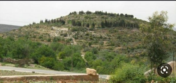 قرية عمورية/ قضاء نابلس