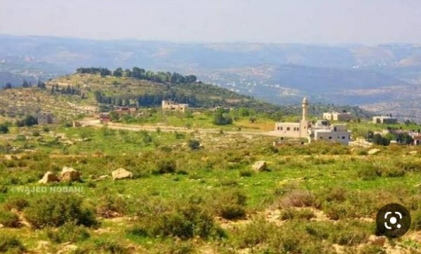 قرية عمورية/ قضاء نابلس