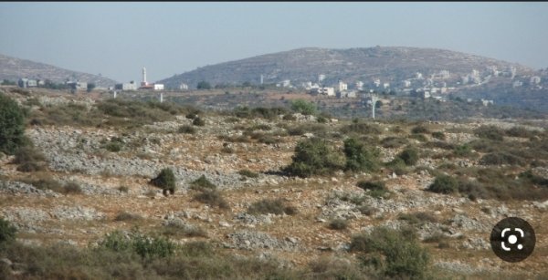 قرية عمورية / قضاء نابلس