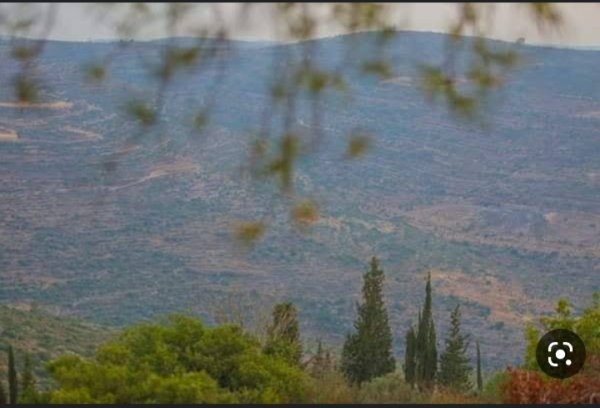 قرية عمورية/ قضاء نابلس