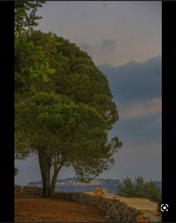 قرية عمورية / قضاء نابلس