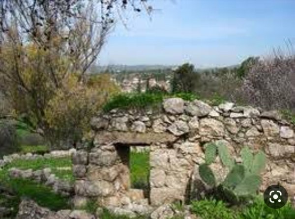 قرية عمورية/ قضاء نابلس