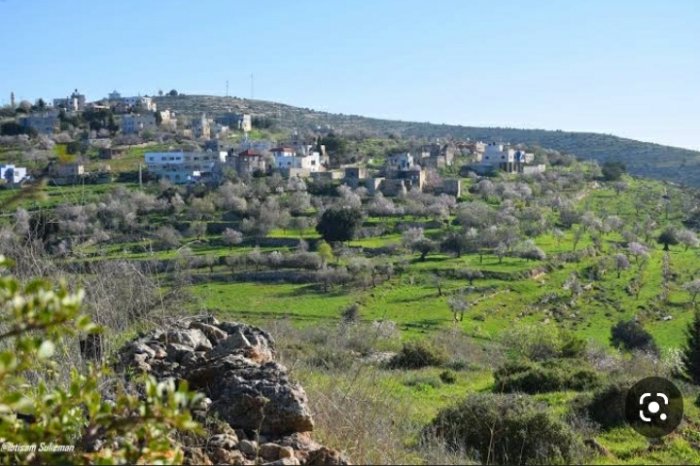 عَمُّورْيَة  | موسوعة القرى الفلسطينية