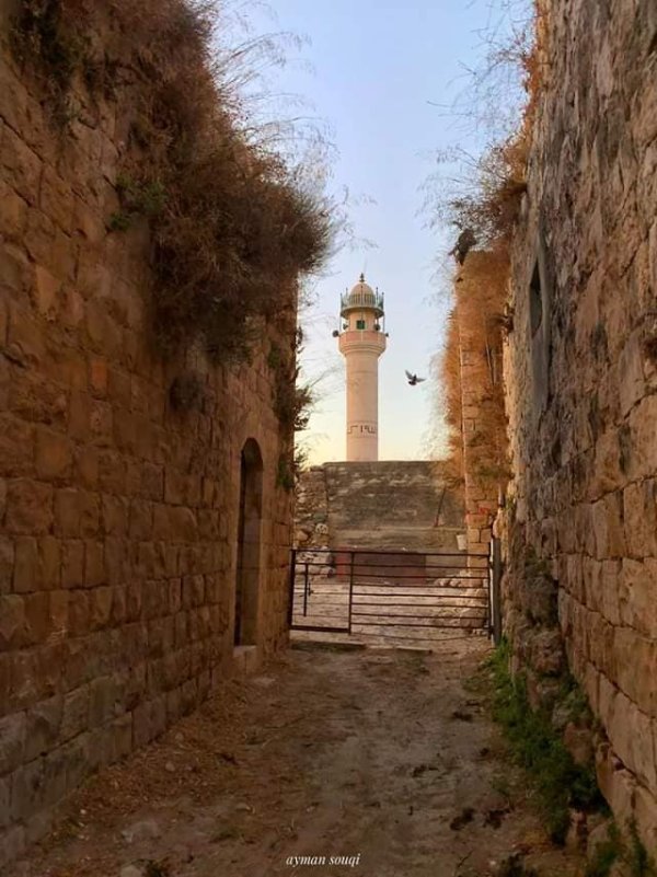 | موسوعة القرى الفلسطينية  | موسوعة القرى الفلسطينية