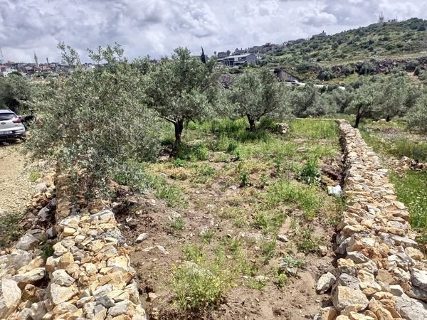  | موسوعة القرى الفلسطينية