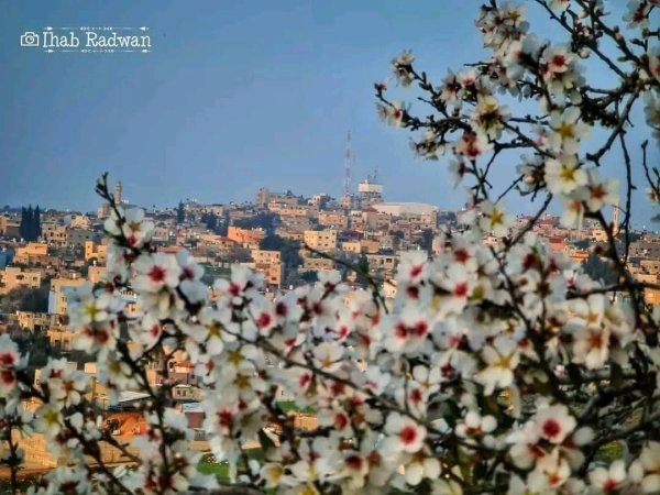  | موسوعة القرى الفلسطينية