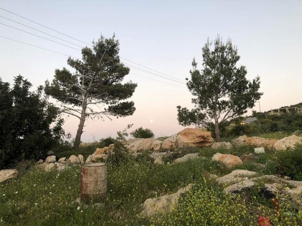 | موسوعة القرى الفلسطينية  | موسوعة القرى الفلسطينية