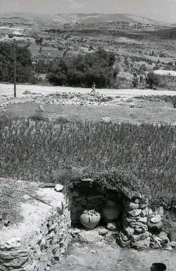 | موسوعة القرى الفلسطينية  | موسوعة القرى الفلسطينية