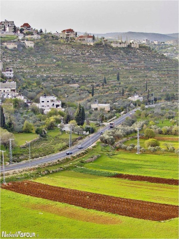 | موسوعة القرى الفلسطينية  | موسوعة القرى الفلسطينية