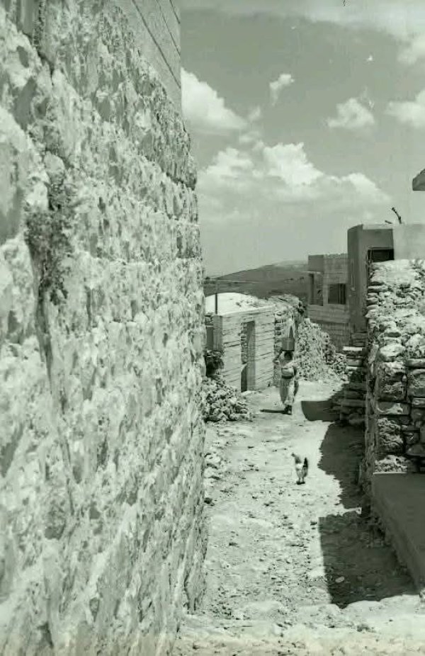 | موسوعة القرى الفلسطينية  | موسوعة القرى الفلسطينية