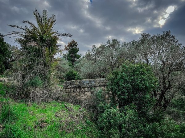 | موسوعة القرى الفلسطينية  | موسوعة القرى الفلسطينية