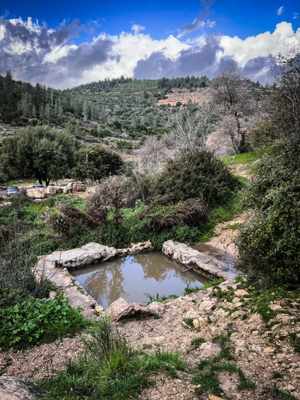 | موسوعة القرى الفلسطينية  | موسوعة القرى الفلسطينية