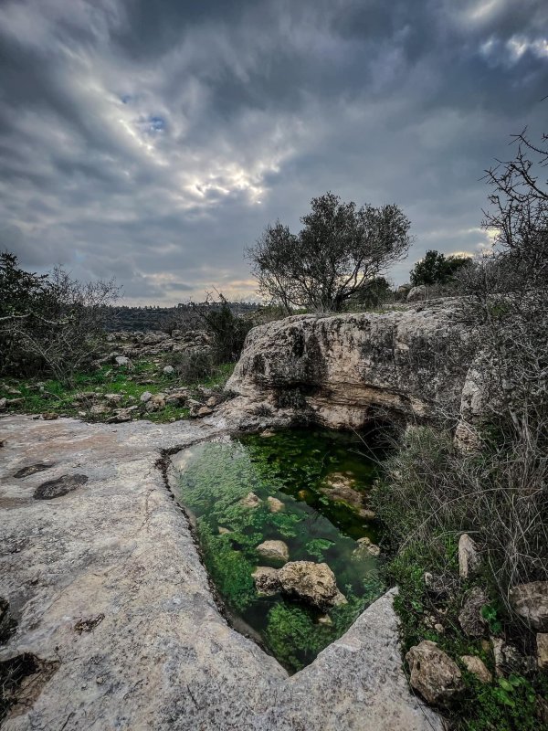 | موسوعة القرى الفلسطينية  | موسوعة القرى الفلسطينية