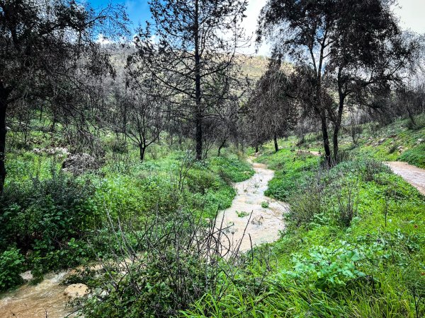 | موسوعة القرى الفلسطينية  | موسوعة القرى الفلسطينية