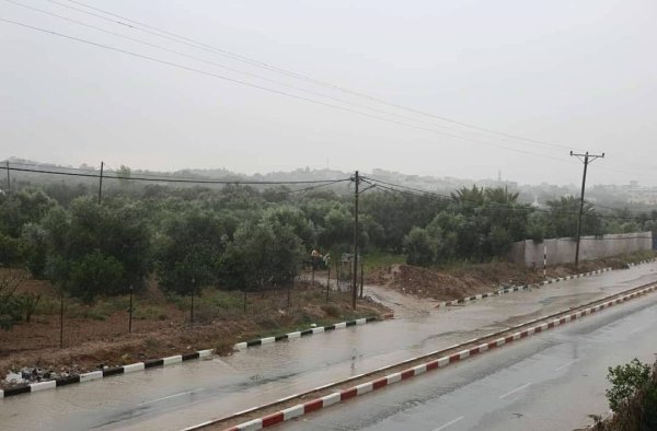 صور متنوعة تظهر جمال قرية جحر الديك شرقي مدينة غزة