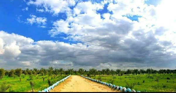  | موسوعة القرى الفلسطينية