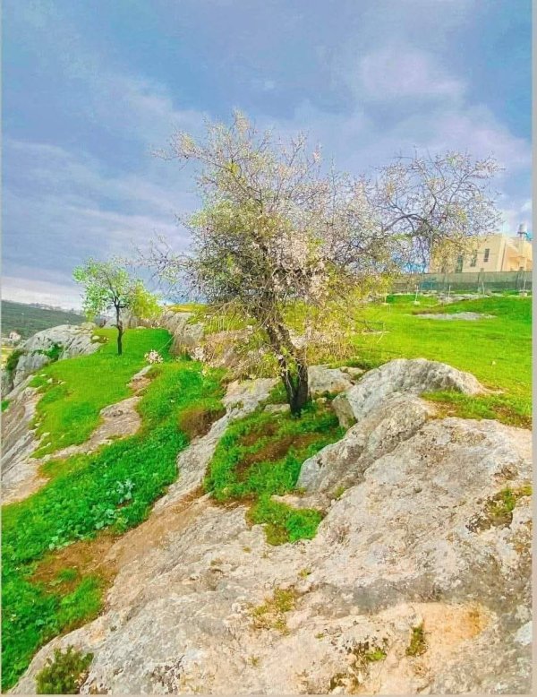  | موسوعة القرى الفلسطينية