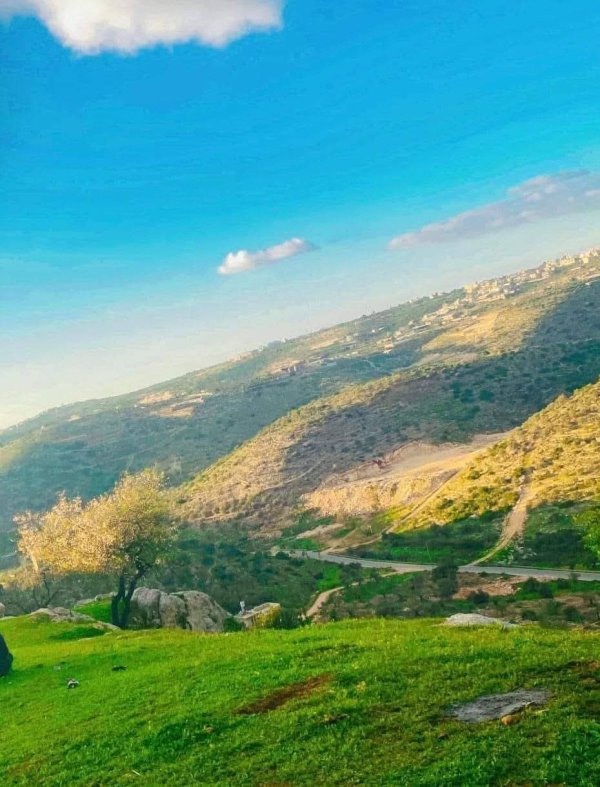  | موسوعة القرى الفلسطينية