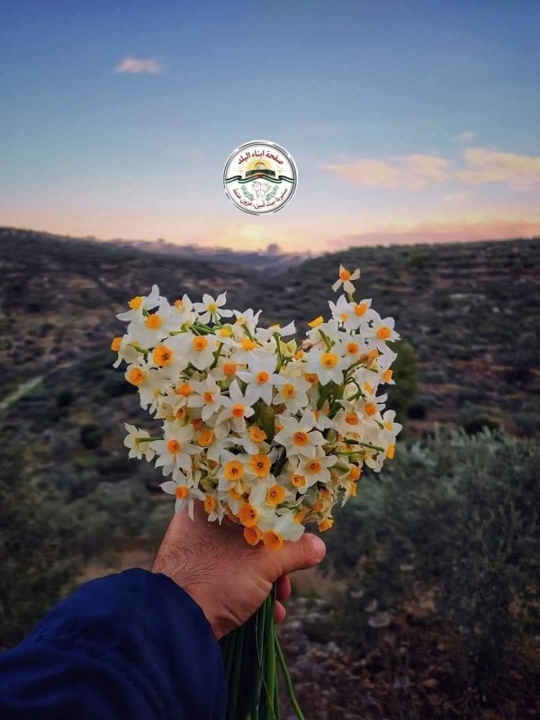  | موسوعة القرى الفلسطينية