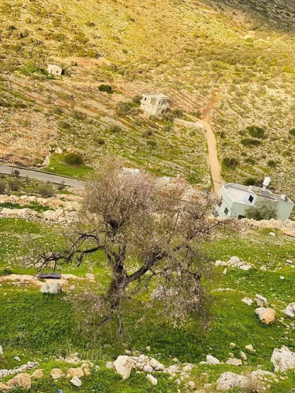  | موسوعة القرى الفلسطينية