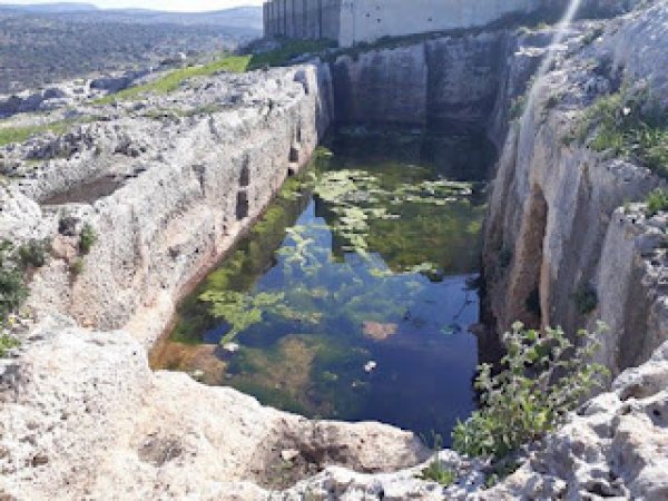  | موسوعة القرى الفلسطينية