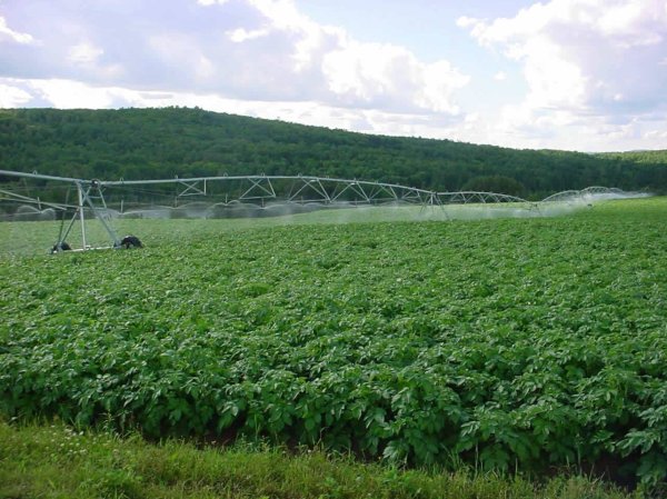 قرية حدب الفوار