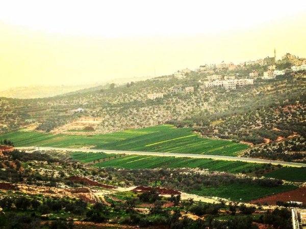 | موسوعة القرى الفلسطينية  | موسوعة القرى الفلسطينية