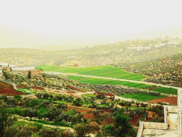 | موسوعة القرى الفلسطينية  | موسوعة القرى الفلسطينية
