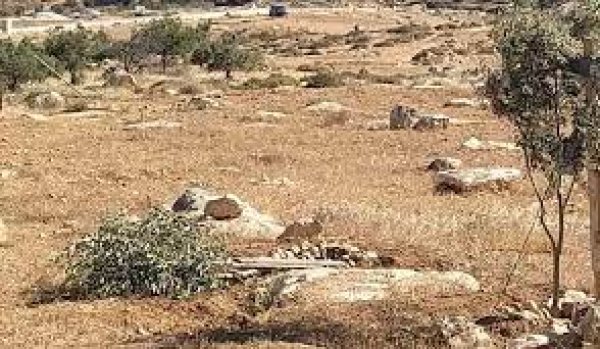 قرية التواني : الطواني: قرى مهددة بالزوال