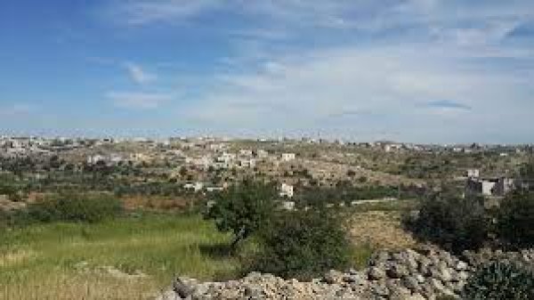 | موسوعة القرى الفلسطينية  | موسوعة القرى الفلسطينية