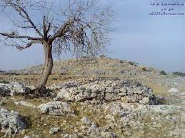 | موسوعة القرى الفلسطينية  | موسوعة القرى الفلسطينية
