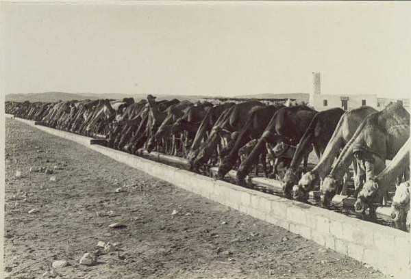 قرية عسلوج / بئر السبع