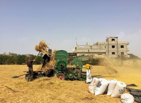  | موسوعة القرى الفلسطينية