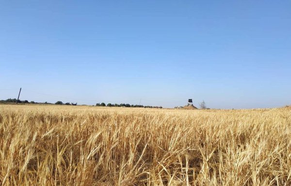  | موسوعة القرى الفلسطينية