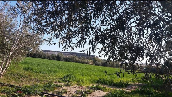  | موسوعة القرى الفلسطينية