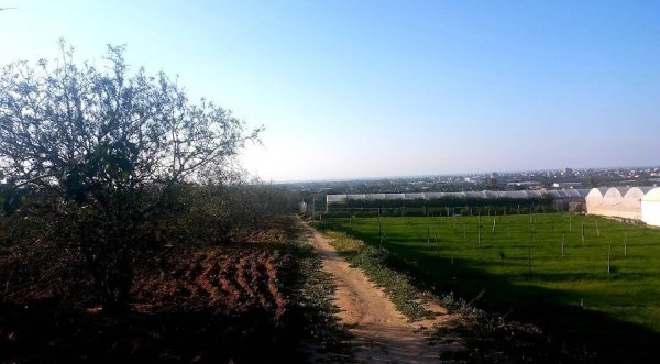  | موسوعة القرى الفلسطينية