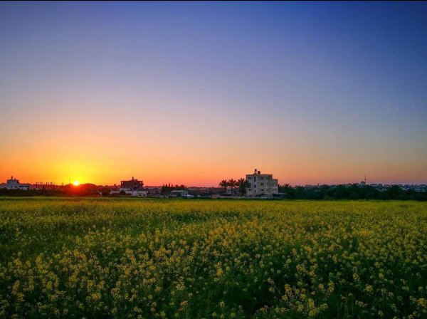  | موسوعة القرى الفلسطينية