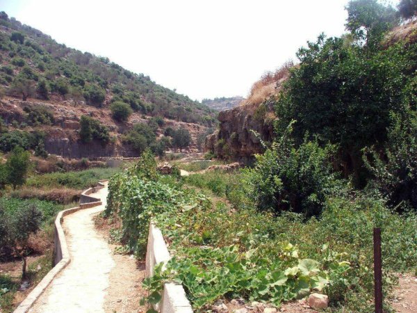 | موسوعة القرى الفلسطينية  | موسوعة القرى الفلسطينية