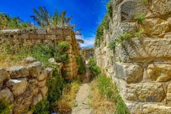 | موسوعة القرى الفلسطينية  | موسوعة القرى الفلسطينية