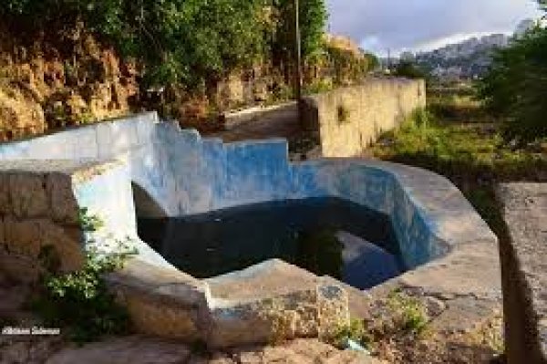 | موسوعة القرى الفلسطينية  | موسوعة القرى الفلسطينية