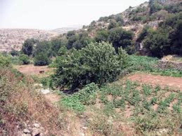 | موسوعة القرى الفلسطينية  | موسوعة القرى الفلسطينية