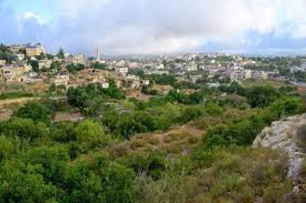 | موسوعة القرى الفلسطينية  | موسوعة القرى الفلسطينية