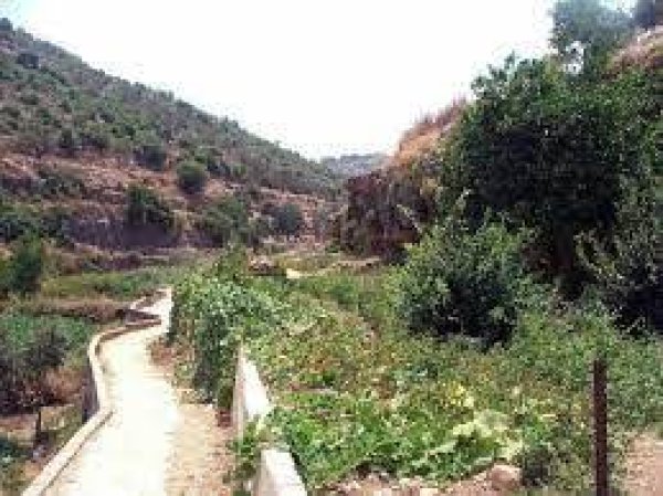| موسوعة القرى الفلسطينية  | موسوعة القرى الفلسطينية
