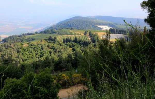 | موسوعة القرى الفلسطينية  | موسوعة القرى الفلسطينية