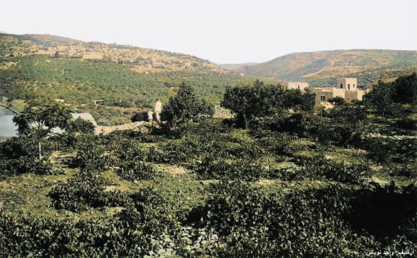 | موسوعة القرى الفلسطينية  | موسوعة القرى الفلسطينية