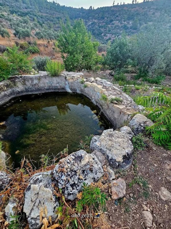 | موسوعة القرى الفلسطينية  | موسوعة القرى الفلسطينية