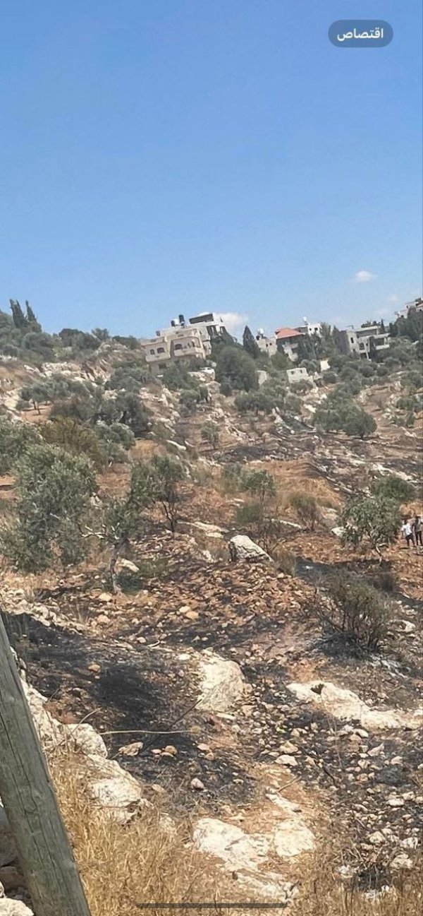 | موسوعة القرى الفلسطينية  | موسوعة القرى الفلسطينية